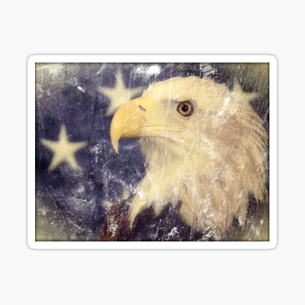 Item preview, Land Of The Free designed and sold by Carla Jensen.