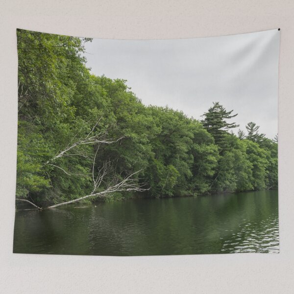 Item preview, White Skeletons - Verdant Forest Lake with Fallen Trees designed and sold by Georgia Mizuleva.