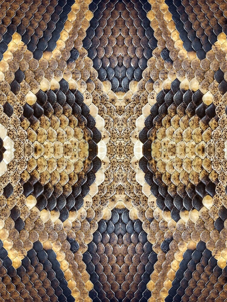 Brown Snake Skin by bykondel