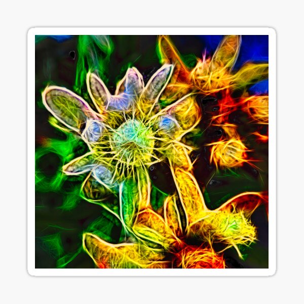 alpen-edelweiss – leontopodium nivale – エーデルワ ¦ Sticker