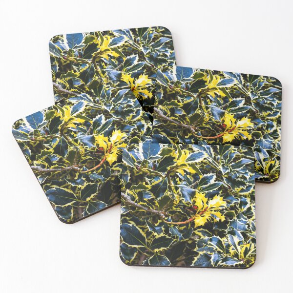 Item preview, Argentea Marginata designed and sold by SzendeB.
