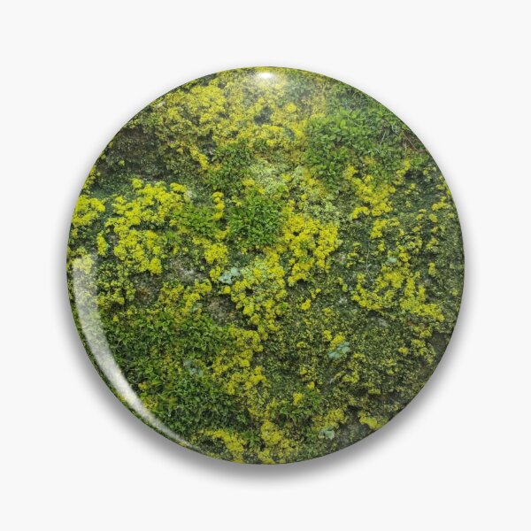 Item preview, Green lichens and mosses up close designed and sold by FrauStine.
