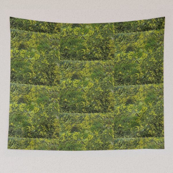 Item preview, Green lichens and mosses up close designed and sold by FrauStine.