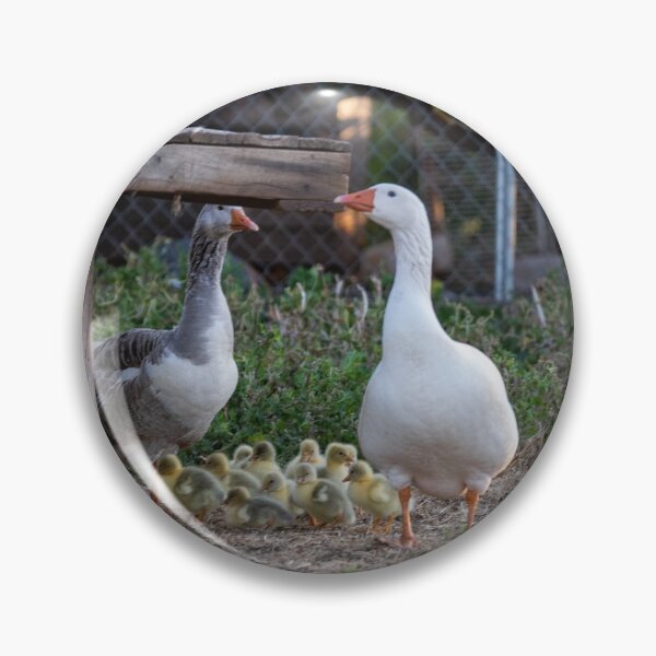 Item preview, Mumma and Papa Geese with their Goslings designed and sold by twelvepointfour.