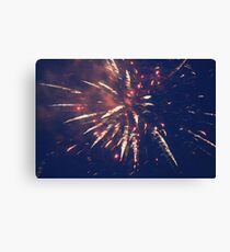 Firework. Canvas Print