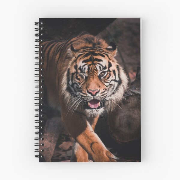 Item preview, Tiger winking designed and sold by StrokeSlade.