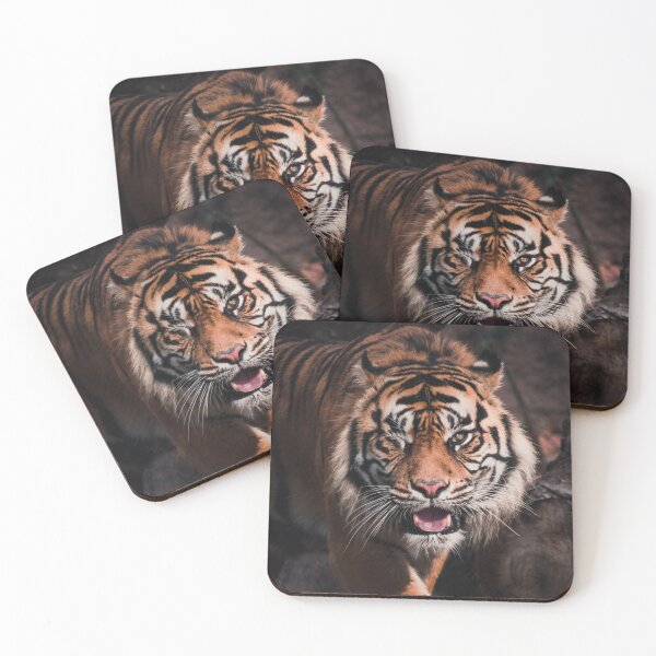 Item preview, Tiger winking designed and sold by StrokeSlade.
