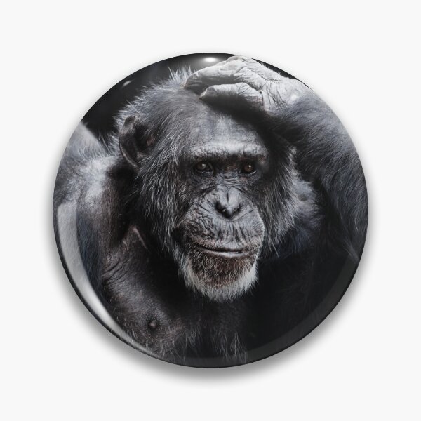 Item preview, MONKE designed and sold by StrokeSlade.