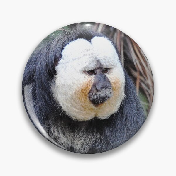 Item preview, Saki Monkey designed and sold by Savannah Gibbs.