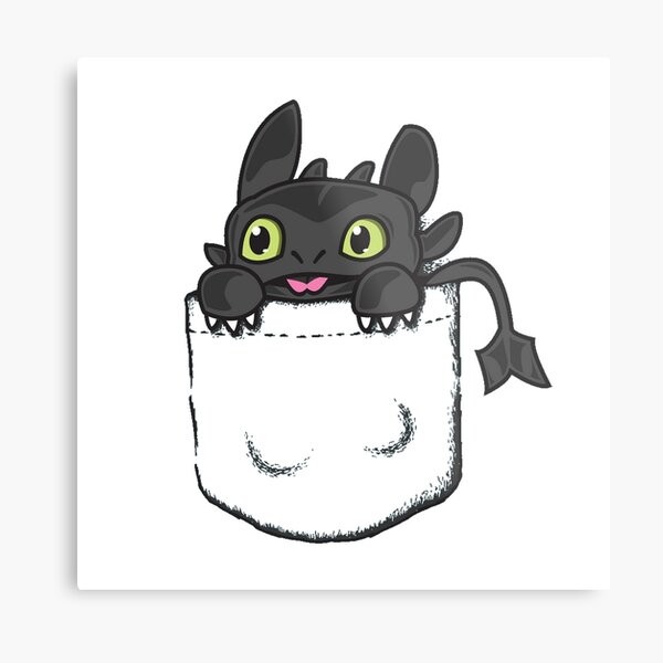 My best Totoro ! Metal Print