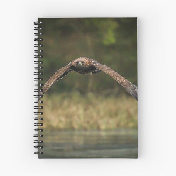 Item preview, Bird of Prey - Golden Eagle designed and sold by Alius Imago.