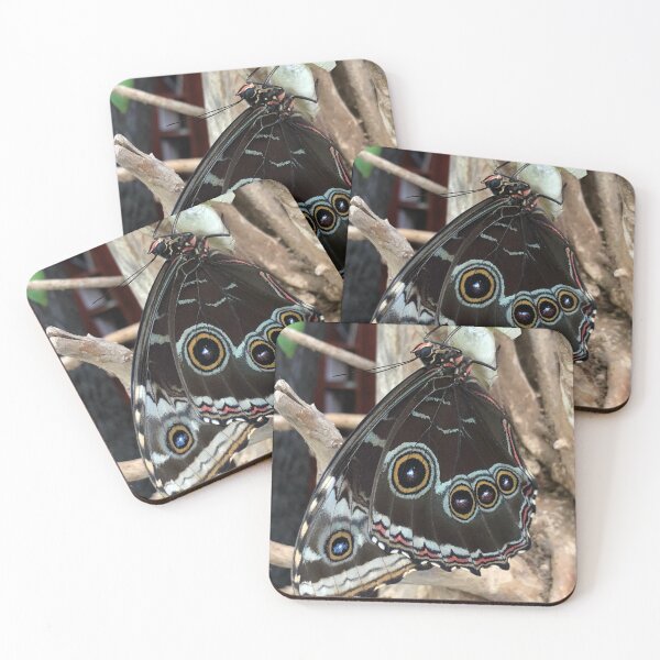 Item preview, Blue Morpho Butterfly Wings Closed designed and sold by DotLovingSue.