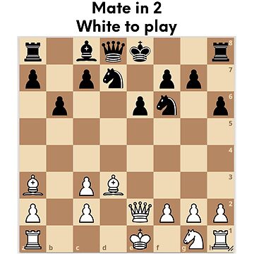 chessmates or check mate?