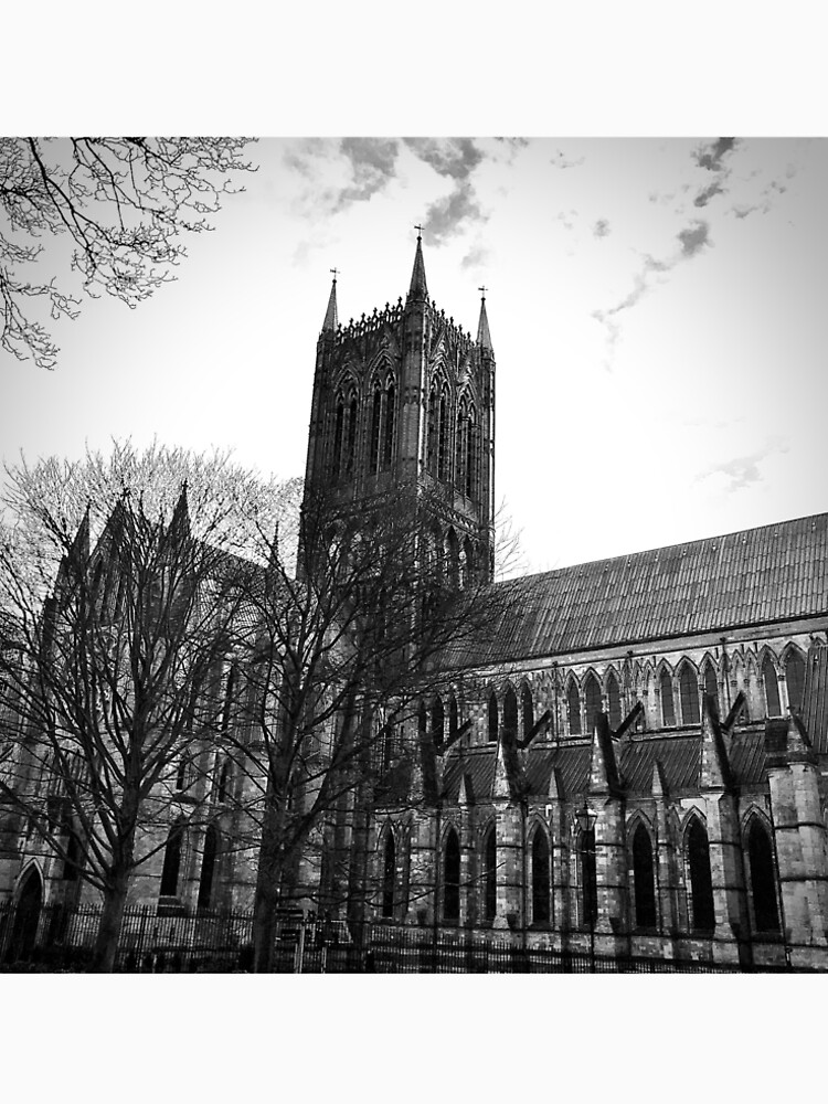 Thumbnail 6 of 6, Premium T-Shirt, Lincoln Cathedral designed and sold by robsteadman.