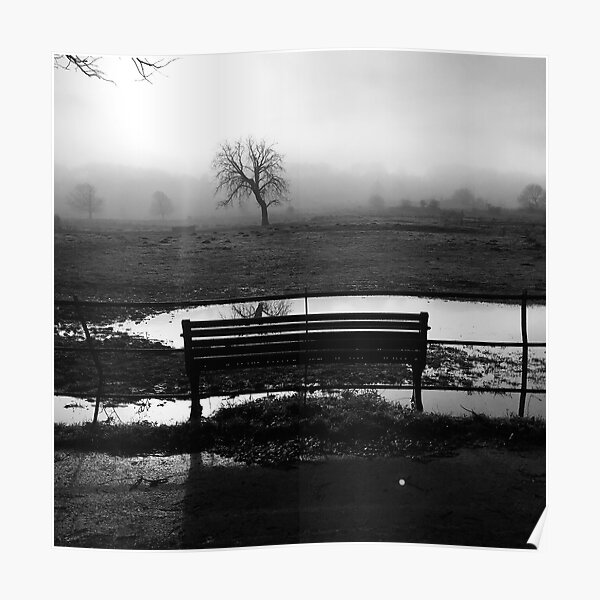 Bench and tree Poster