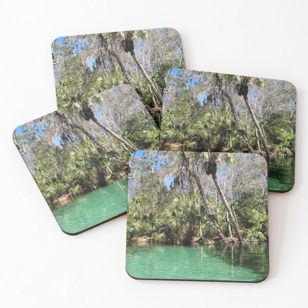 Item preview, Rainbow Springs State Park, Dunnellon, Florida, Crystal Clear Cove designed and sold by CaptainNook.