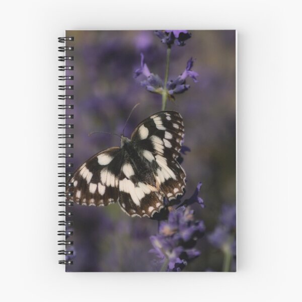 Item preview, Galatea butterflies with shades of lavender  designed and sold by ritadilalla.