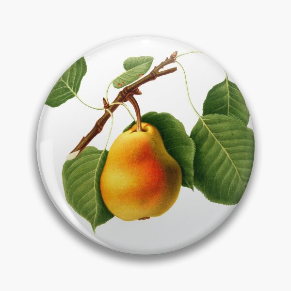 Item preview, Vintage Pear Print designed and sold by artistoutfitter.