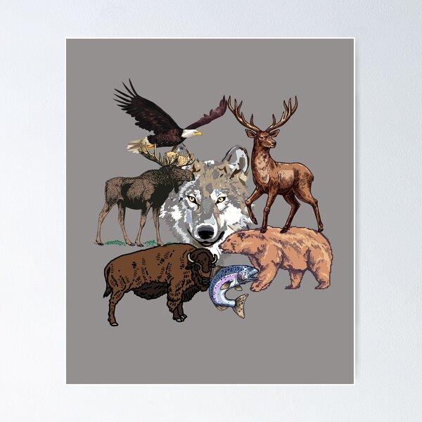 North American Wildlife Poster