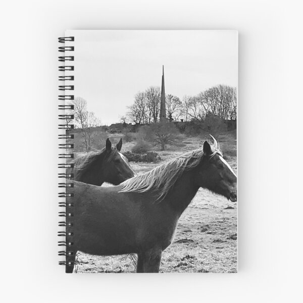 Item preview, Horses and Bomber Command Centre, Lincoln designed and sold by Robert Steadman.