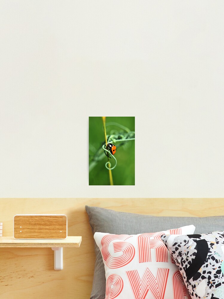 Thumbnail 2 of 3, Photographic Print, Algorithm designed and sold by Inese.