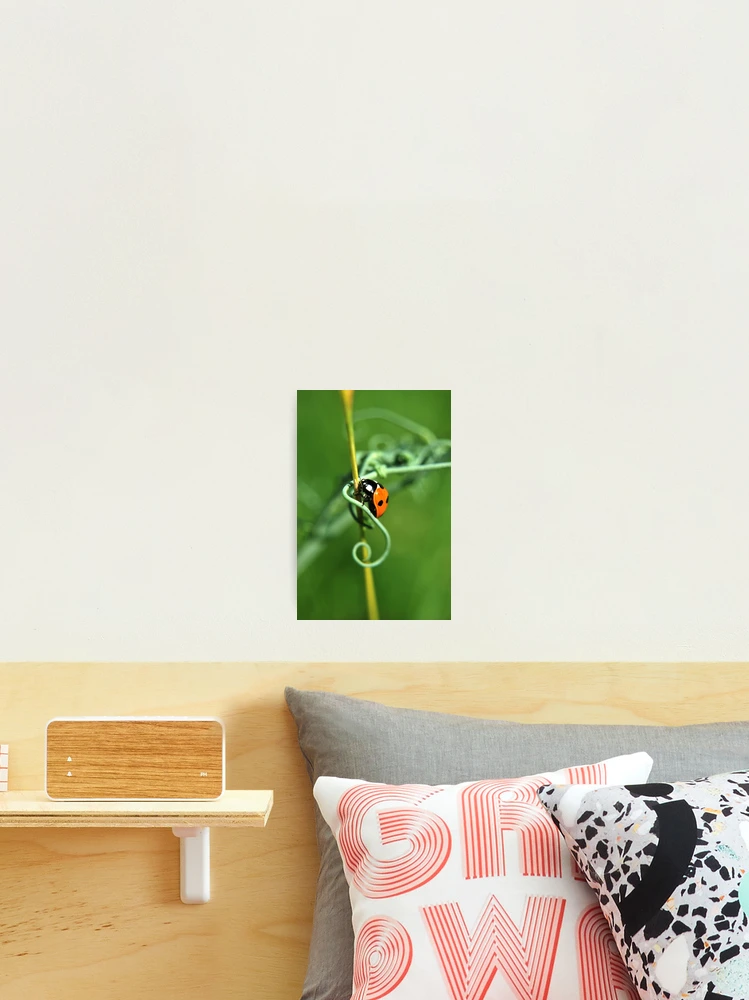 Thumbnail 2 of 3, Photographic Print, Algorithm designed and sold by Inese.