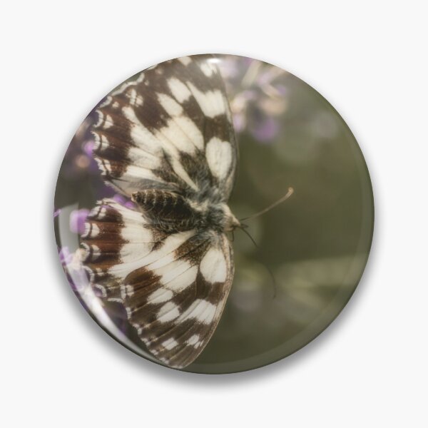 Item preview, Wonderful specimen of the Galatea butterfly  designed and sold by ritadilalla.