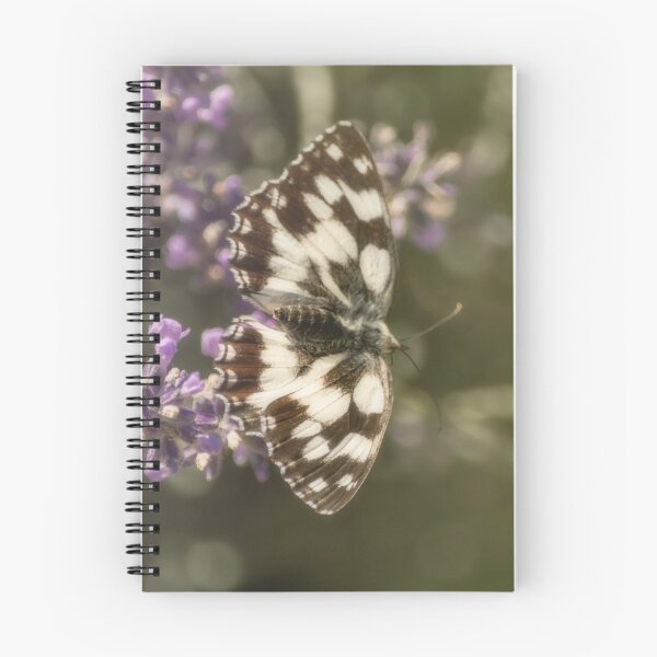 Item preview, Wonderful specimen of the Galatea butterfly  designed and sold by ritadilalla.