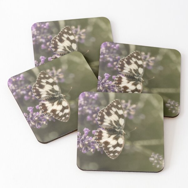 Item preview, Wonderful specimen of the Galatea butterfly  designed and sold by ritadilalla.