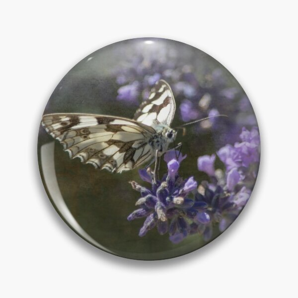Item preview, Wonderful specimen of Galatea butterfly with texture  designed and sold by ritadilalla.