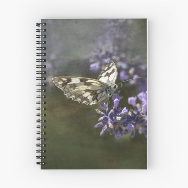 Item preview, Wonderful specimen of Galatea butterfly with texture  designed and sold by ritadilalla.