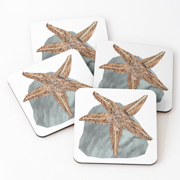 Item preview, Starfish on rock designed and sold by BabbanGaelg.