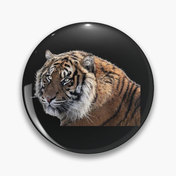 Item preview, Save the tiger designed and sold by luckyturtles.