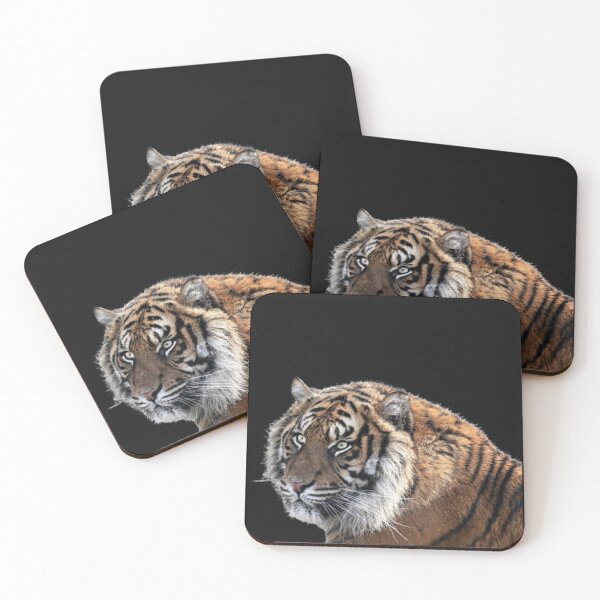 Item preview, Save the tiger designed and sold by luckyturtles.