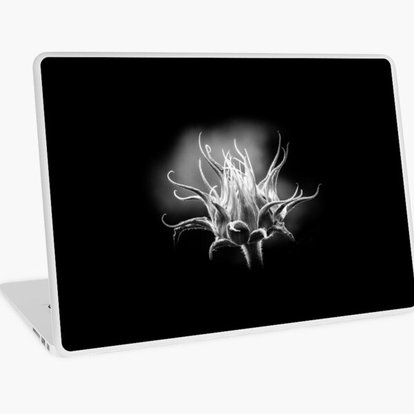 Item preview, Tournesol en devenir designed and sold by Marie Boucher.
