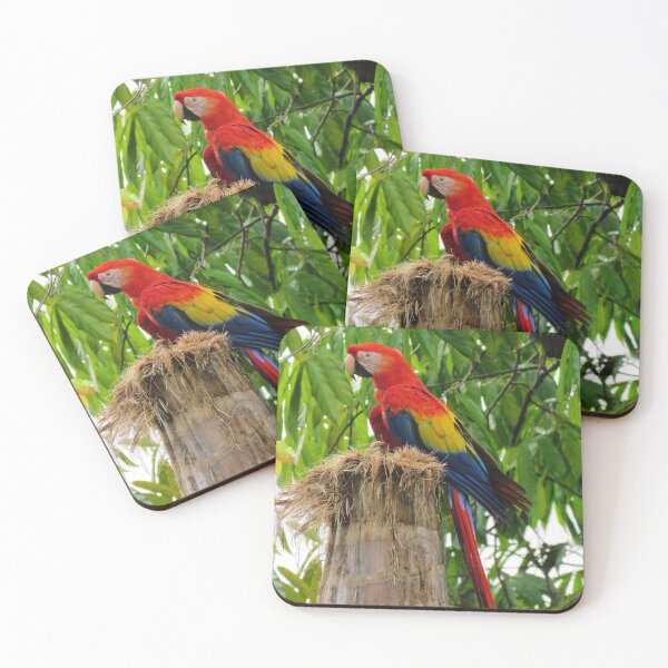 Item preview, Guacamaya Roja, Manuel Antonio, Costa Rica designed and sold by DotLovingSue.