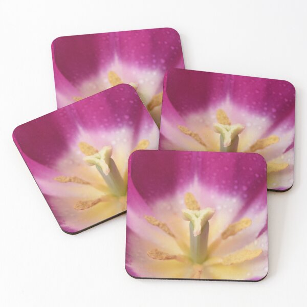 Item preview, Tulipa  'Purple Flag'  Tulip  Triumph Group designed and sold by Chris Burrows.