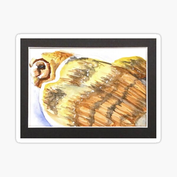 barn owl Sticker