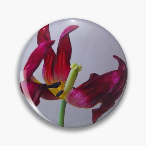 Item preview, Wilting Tulip designed and sold by Novelimages.