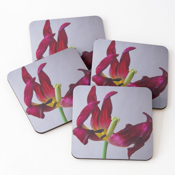Item preview, Wilting Tulip designed and sold by Novelimages.