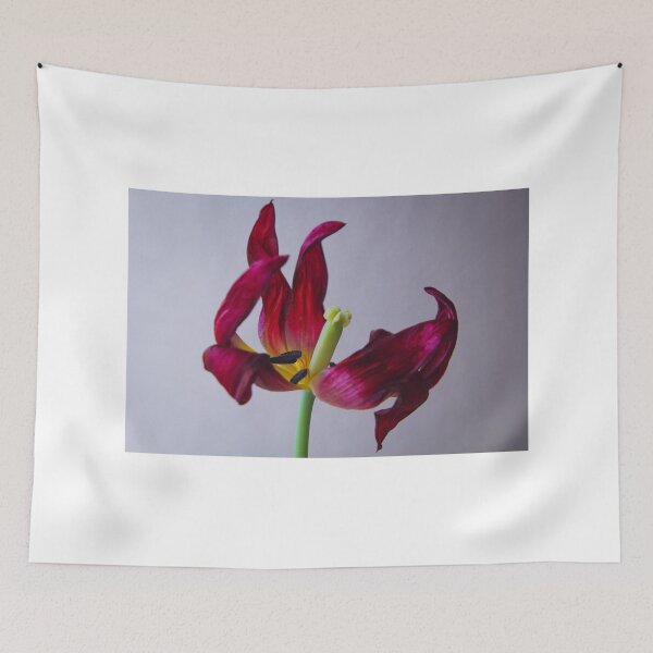 Item preview, Wilting Tulip designed and sold by Novelimages.