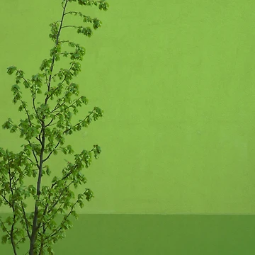 Artwork thumbnail, Springtime by TalBright