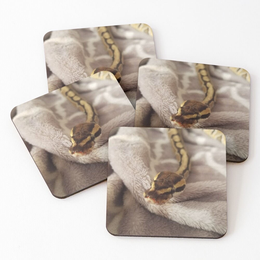 Item preview, Coasters (Set of 4) designed and sold by rainbowreptiles.