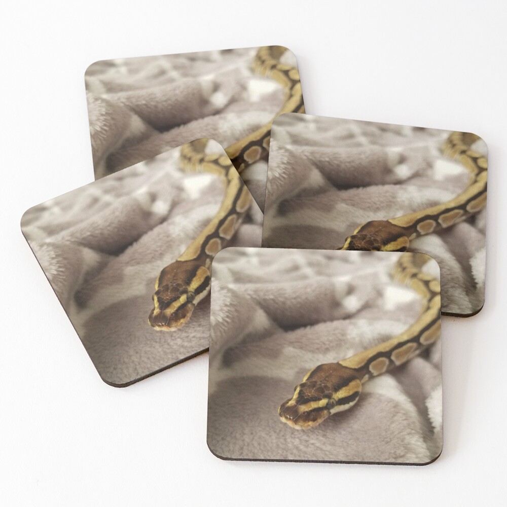 Item preview, Coasters (Set of 4) designed and sold by rainbowreptiles.