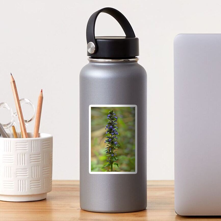 Bugleherb - Burntollet Woods Sticker