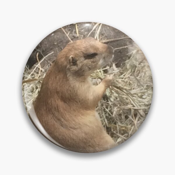 Item preview, prairie dog in the sun designed and sold by cowgirltracie.