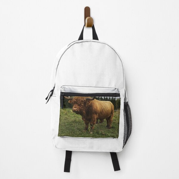 Item preview, Scottish Highland Cattle Bull 2525 designed and sold by SaarelaHighland.