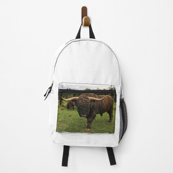 Item preview, Scottish Highland Cattle Bull 2526 designed and sold by SaarelaHighland.