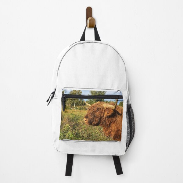 Item preview, Scottish Highland Cattle Bull 2527 designed and sold by SaarelaHighland.
