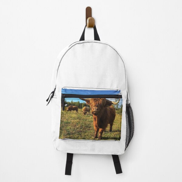 Item preview, Scottish Highland Cattle Bulls 2528 designed and sold by SaarelaHighland.